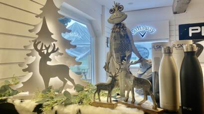 IMG_1553-410x230-News-neu